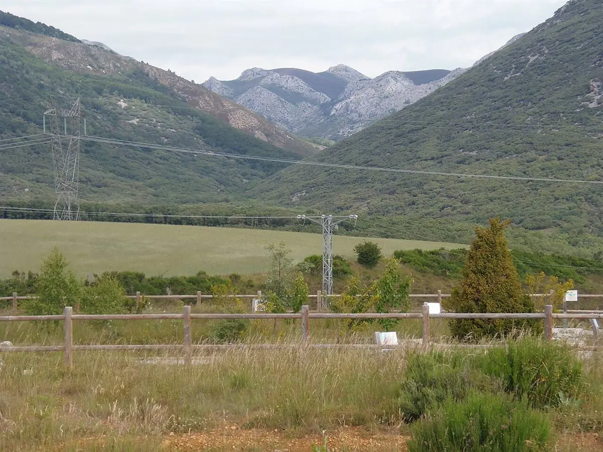 Paisaje del monte gallego